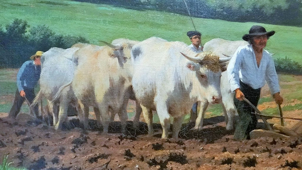 Aratura nel Nivernais, 1850 - dettaglio